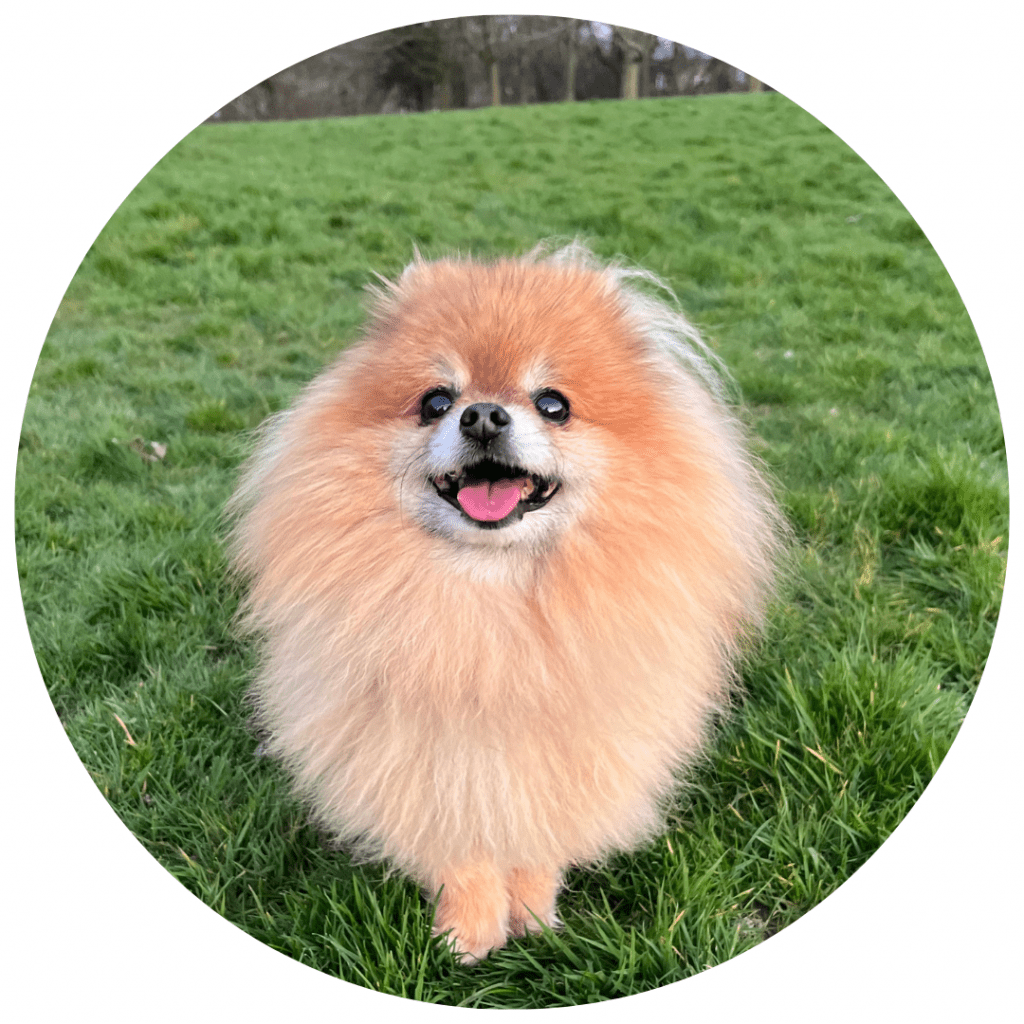 Rupert Helper Home Rupert Helper Home